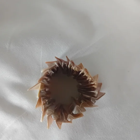 Abalone Shell Bracelet* - Picture 5 of 7